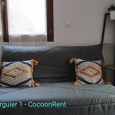 Lamourguier 1, Proche Des Halles, Wifi, Bureau Narbonne Ngoại thất bức ảnh