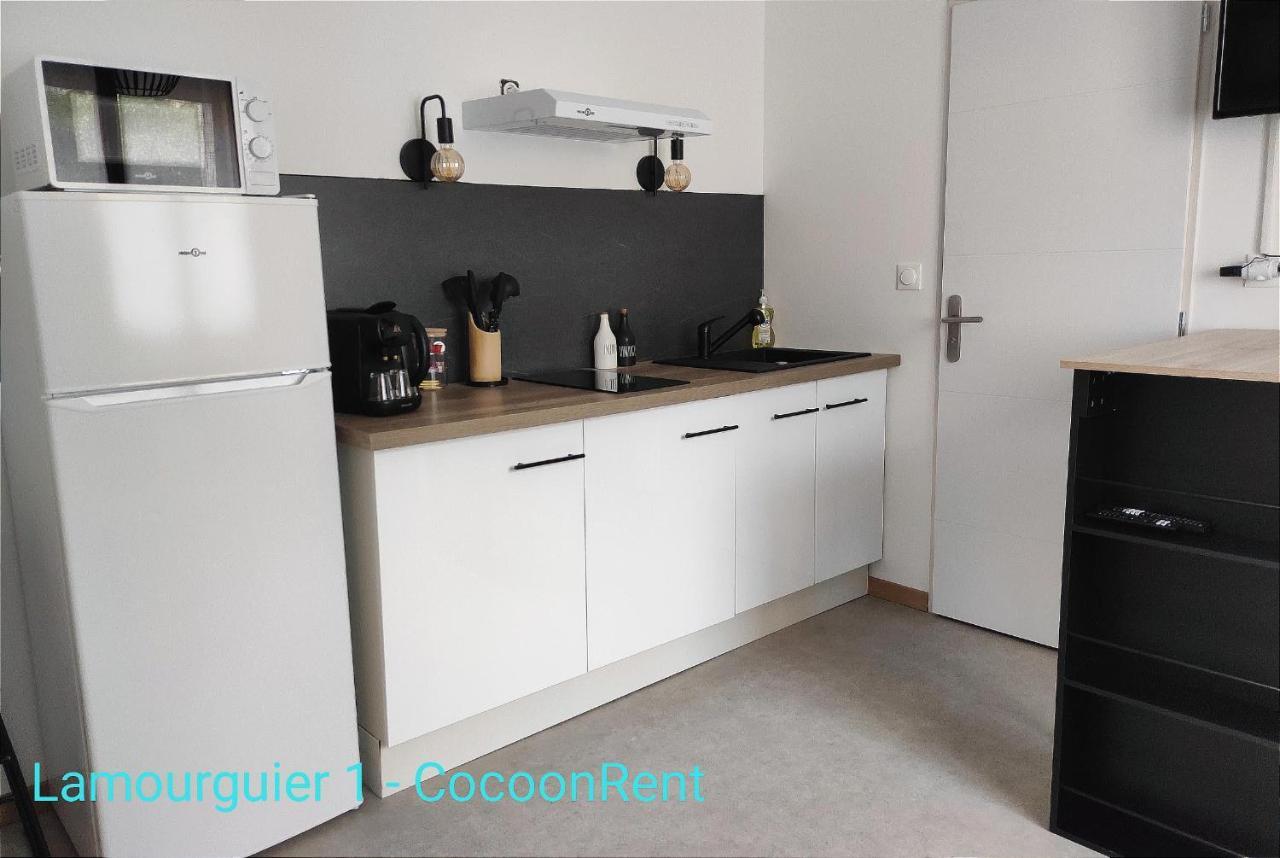 Lamourguier 1, Proche Des Halles, Wifi, Bureau Narbonne Ngoại thất bức ảnh